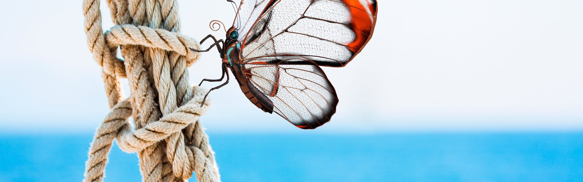 arimeo Fensterfalzlüfter Schmetterling an Seil kleiner