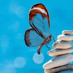 arimeo Fensterfalzlüfter Schmetterling etwas kleiner